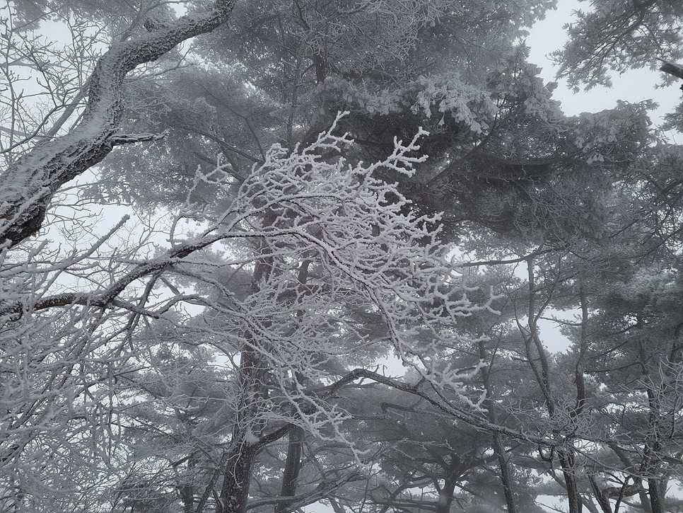 [북한산국립공원] 북한산, 그림 같은 화이트 크리스마스를 즐기다