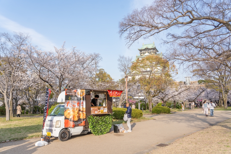 일본 오사카 여행 코스 : 오사카 비행기표 + 일본 벚꽃 명소
