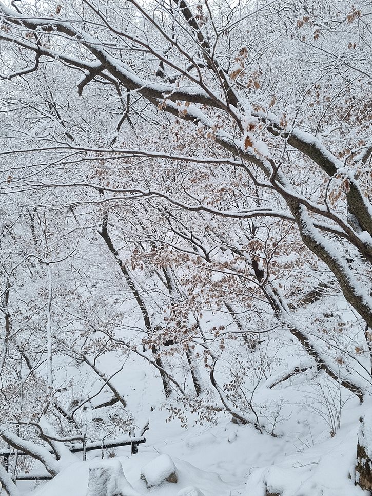 [북한산국립공원] 북한산, 그림 같은 화이트 크리스마스를 즐기다