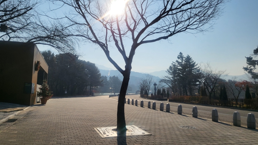 과천 서울대공원  완전 봄 날씨