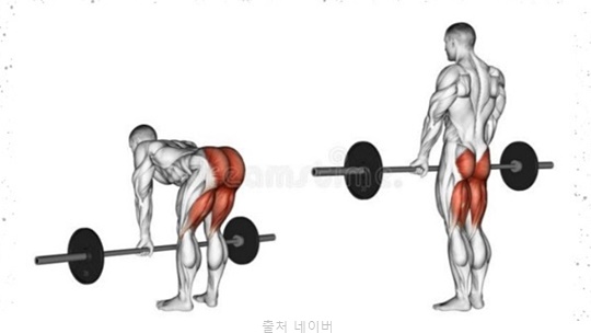 데드리프트 종류 자세 효과 컨벤셔널 루마니안 스모 스티프 원레그 하체 근력 등운동