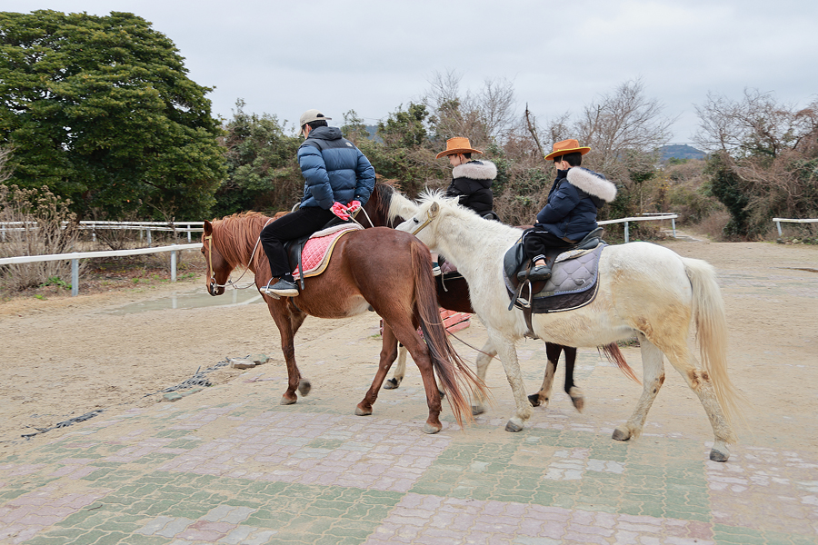 제주도 갈만한곳 2박 3일 제주 여행 핫플 제주 볼거리 제주도 지도