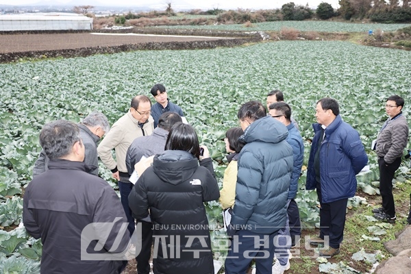 강병삼 제주시장, “대설·한파 농작물 농가 피해 최소화 힘쓰겠다”