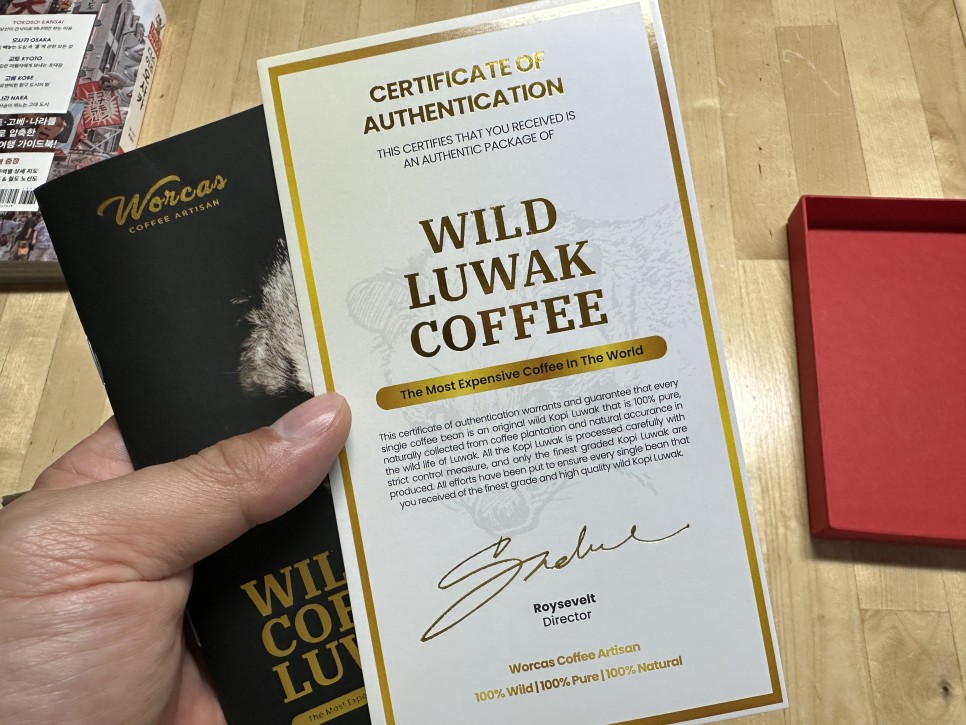브레빌876 루왁커피 추출 시음 후기 + 인도네시아 WORCAS KOPI LUWAK feat. 세계에서 제일 비싼 커피 ~!