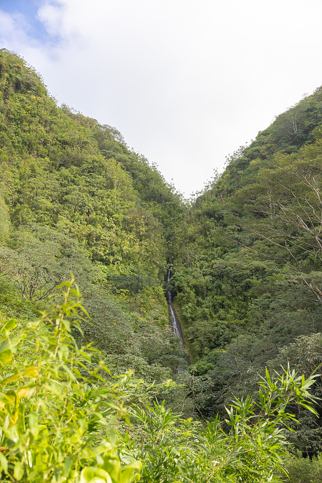 날씨 좋은 여름 해외휴양지 추천 하와이 여행 투어 마노아폭포 탄탈루스 언덕