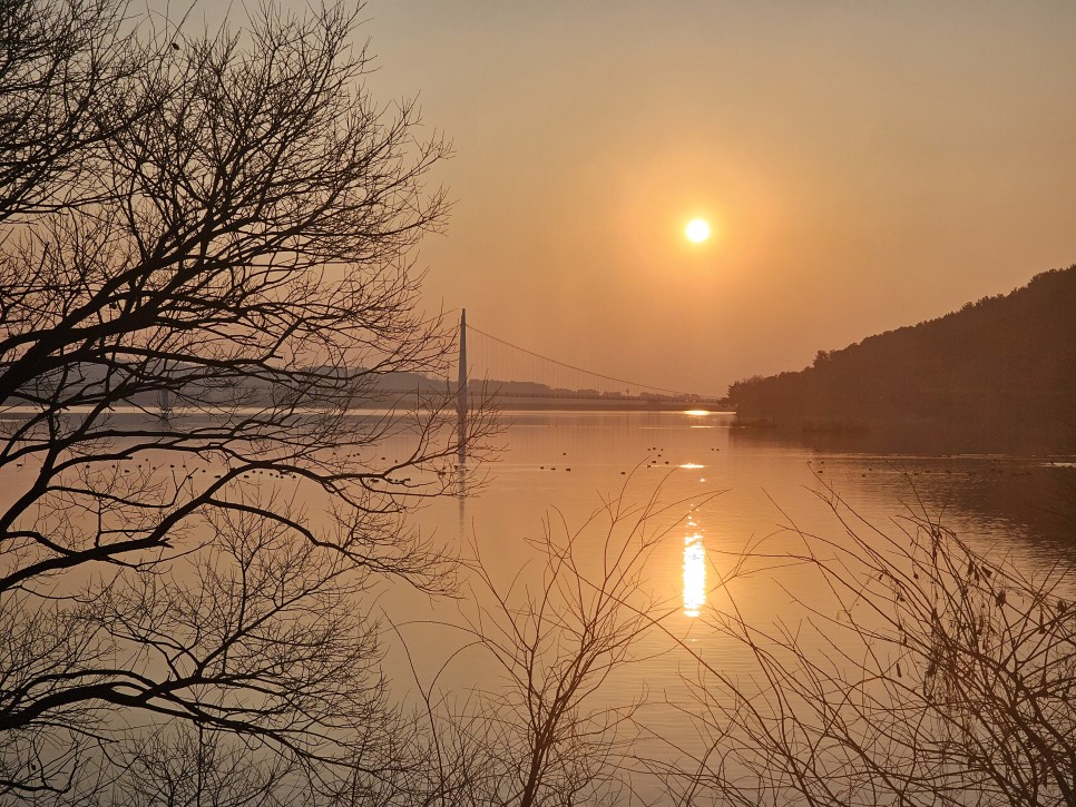 충남여행 논산 가볼만한곳 탑정호수변생태공원부터 논산 탑정호 출렁다리 일몰