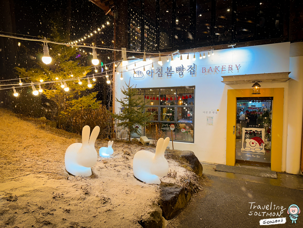 가평 가볼만한곳 국내겨울여행지추천 서울 근교 수목원 야경