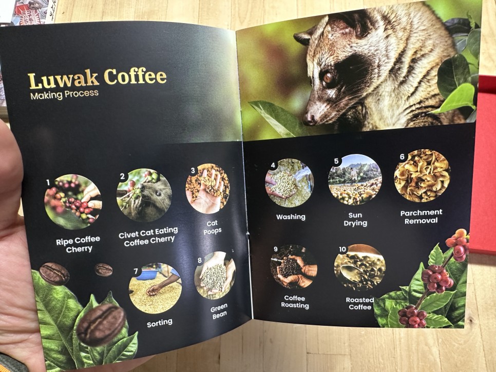 브레빌876 루왁커피 추출 시음 후기 + 인도네시아 WORCAS KOPI LUWAK feat. 세계에서 제일 비싼 커피 ~!