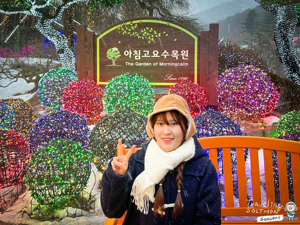 가평 가볼만한곳 국내겨울여행지추천 서울 근교 수목원 야경