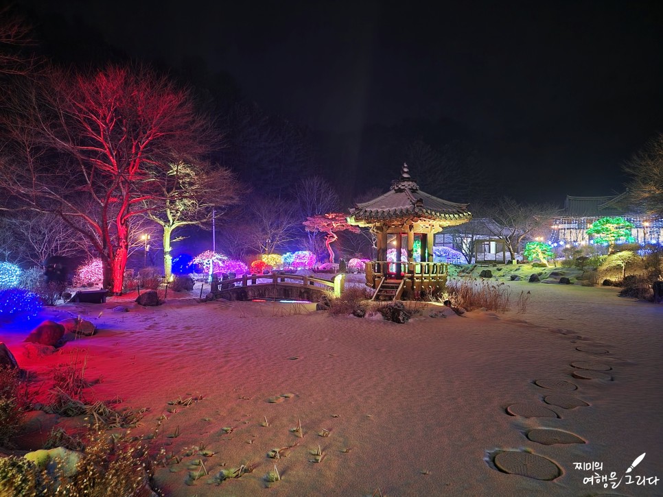 경기도 가평 아침고요수목원 오색별빛정원전 야간 가볼만한곳 설날 2월 놀거리 겨울 축제 야경