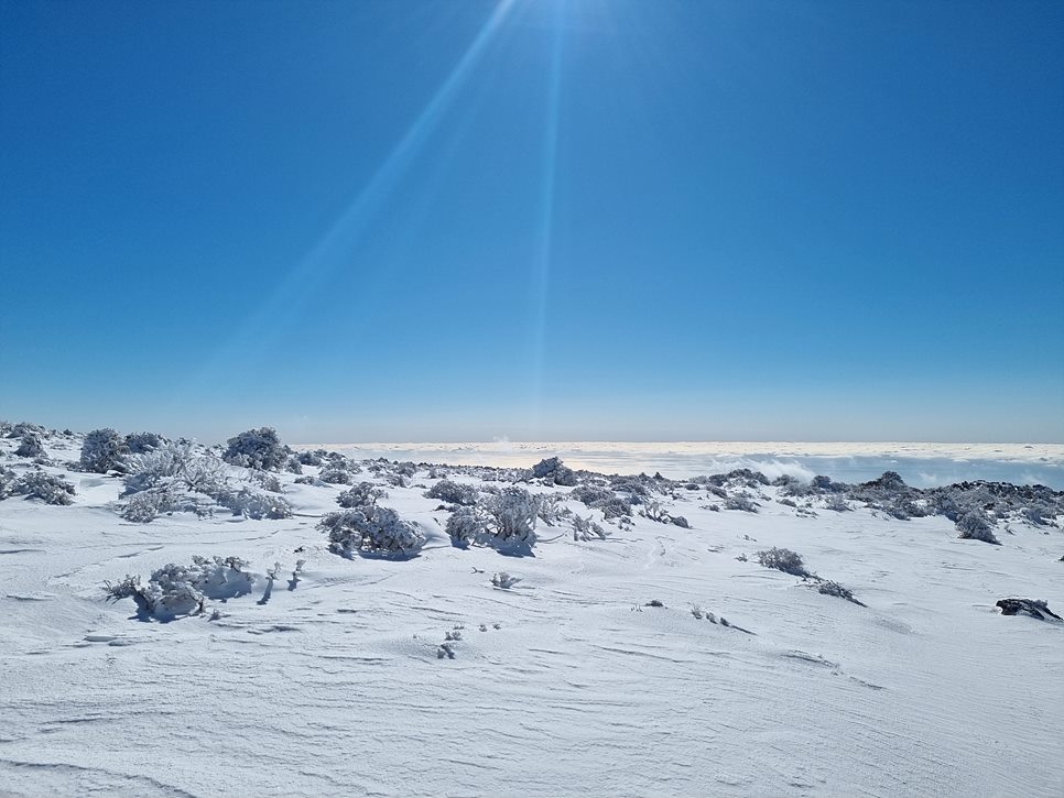 [한라산국립공원] 한라산, 환상적인 천상의 설국을 찾아서