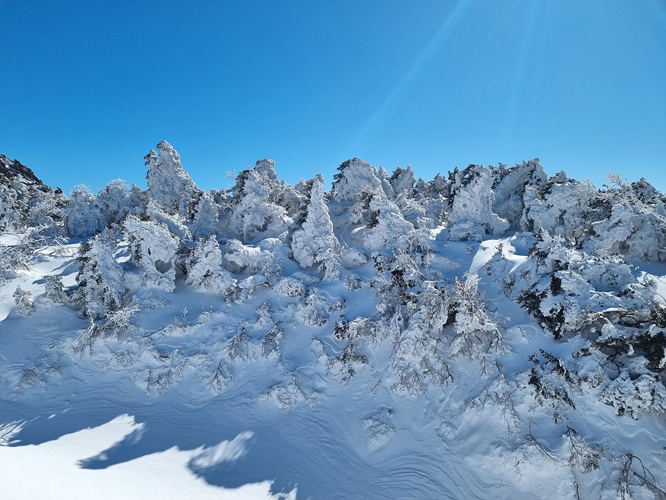 [한라산국립공원] 한라산, 환상적인 천상의 설국을 찾아서