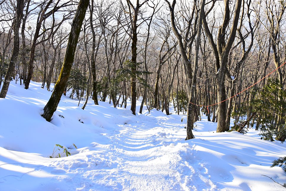 [한라산국립공원] 한라산, 환상적인 천상의 설국을 찾아서