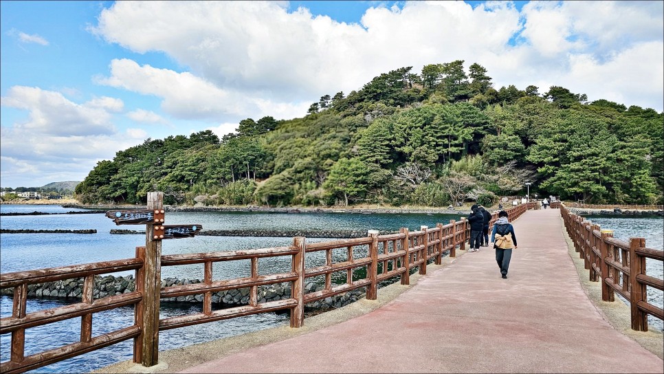 2월 제주 가볼만한곳 성산일출봉이 보이는 삼달리 촬영지 제주 핫플 오조포구 유채꽃밭!