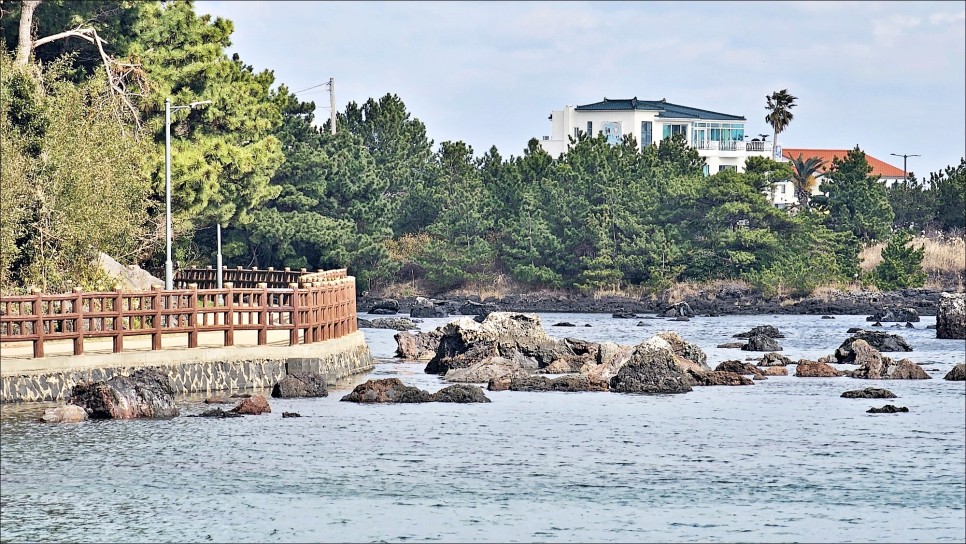 2월 제주 가볼만한곳 성산일출봉이 보이는 삼달리 촬영지 제주 핫플 오조포구 유채꽃밭!