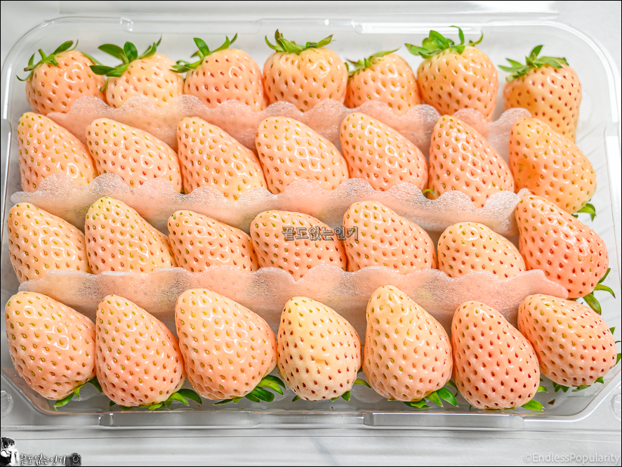 이마트 만년설딸기 맛 딸기 씻는법 세척 딸기 칼로리
