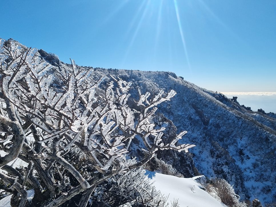 [한라산국립공원] 한라산, 환상적인 천상의 설국을 찾아서