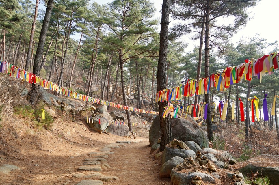 설날 대구근교 겨울 가볼만한곳 합천 천불천탑 용바위 경남사찰