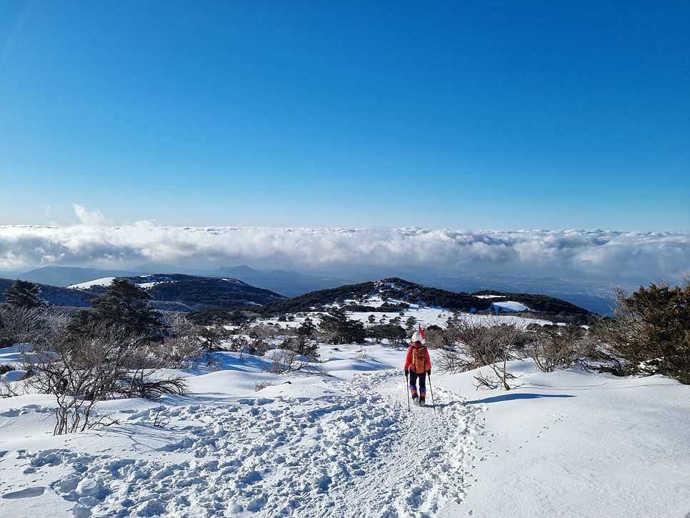 [한라산국립공원] 한라산, 환상적인 천상의 설국을 찾아서