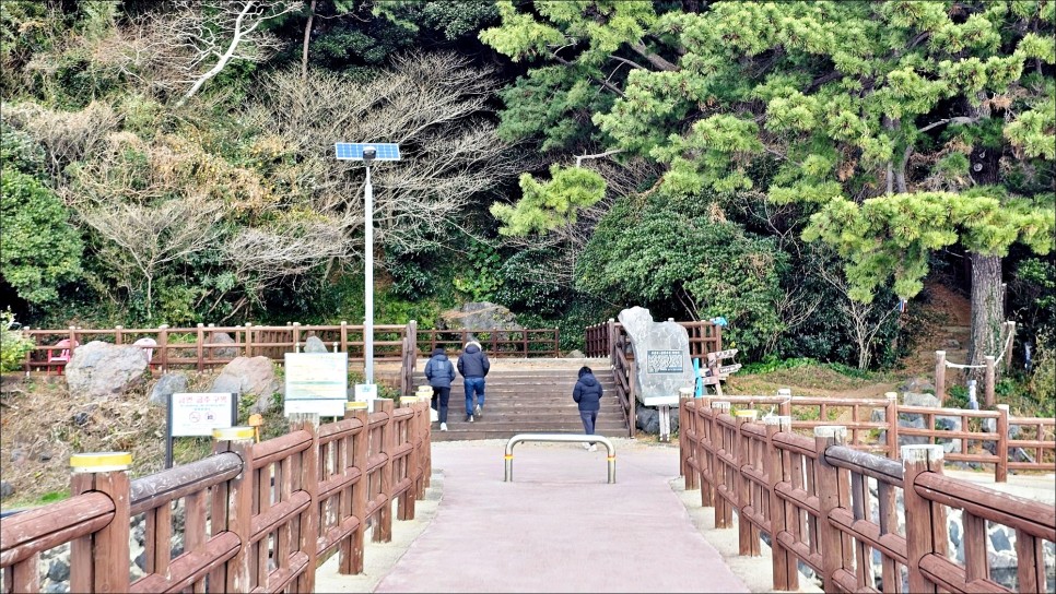 2월 제주 가볼만한곳 성산일출봉이 보이는 삼달리 촬영지 제주 핫플 오조포구 유채꽃밭!