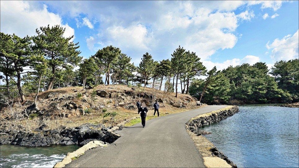 2월 제주 가볼만한곳 성산일출봉이 보이는 삼달리 촬영지 제주 핫플 오조포구 유채꽃밭!