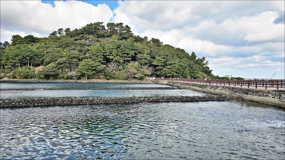 2월 제주 가볼만한곳 성산일출봉이 보이는 삼달리 촬영지 제주 핫플 오조포구 유채꽃밭!