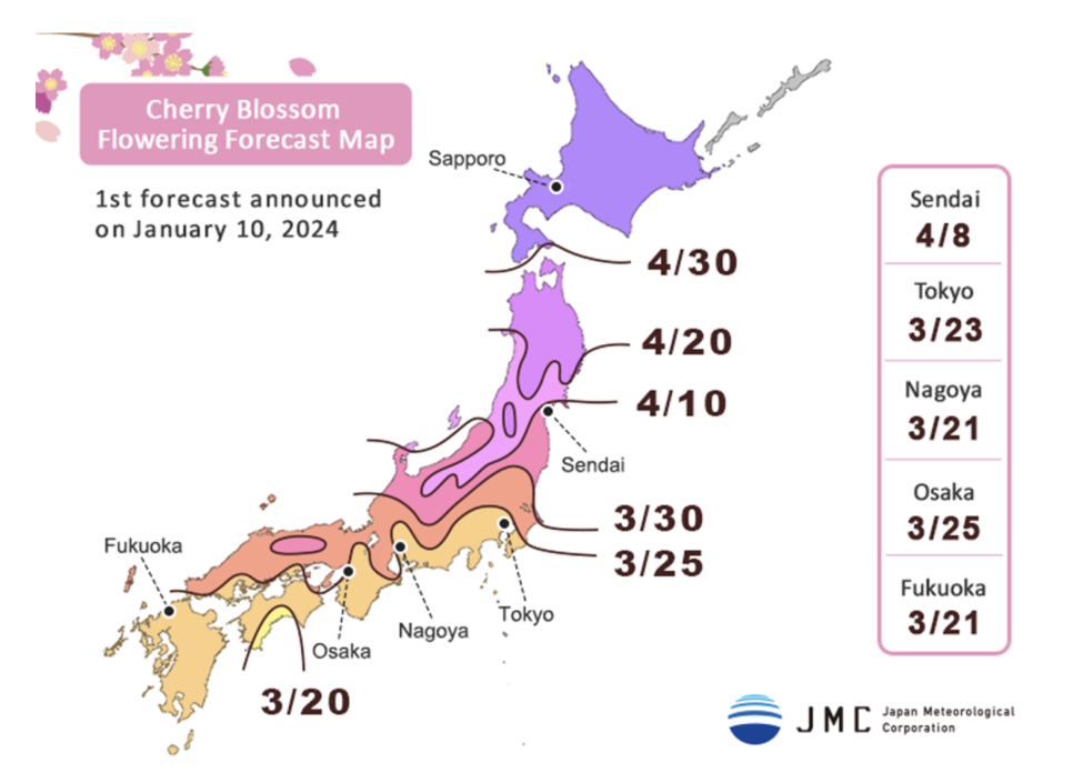 오사카 교토 여행 코스 가볼만한곳 + 2024 일본 벚꽃 개화시기