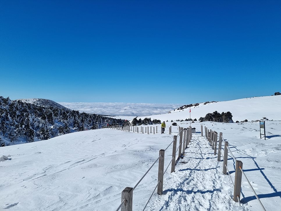 [한라산국립공원] 한라산, 환상적인 천상의 설국을 찾아서