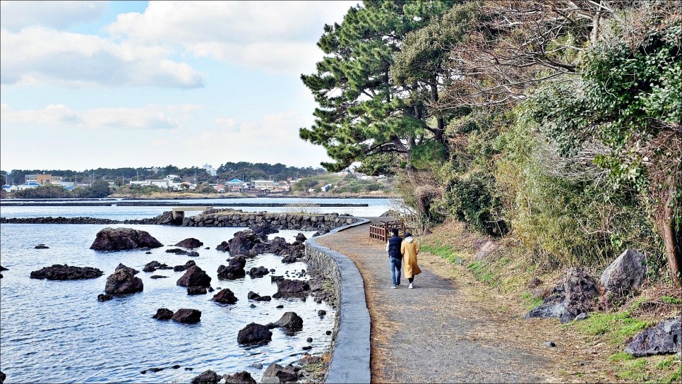 2월 제주 가볼만한곳 성산일출봉이 보이는 삼달리 촬영지 제주 핫플 오조포구 유채꽃밭!