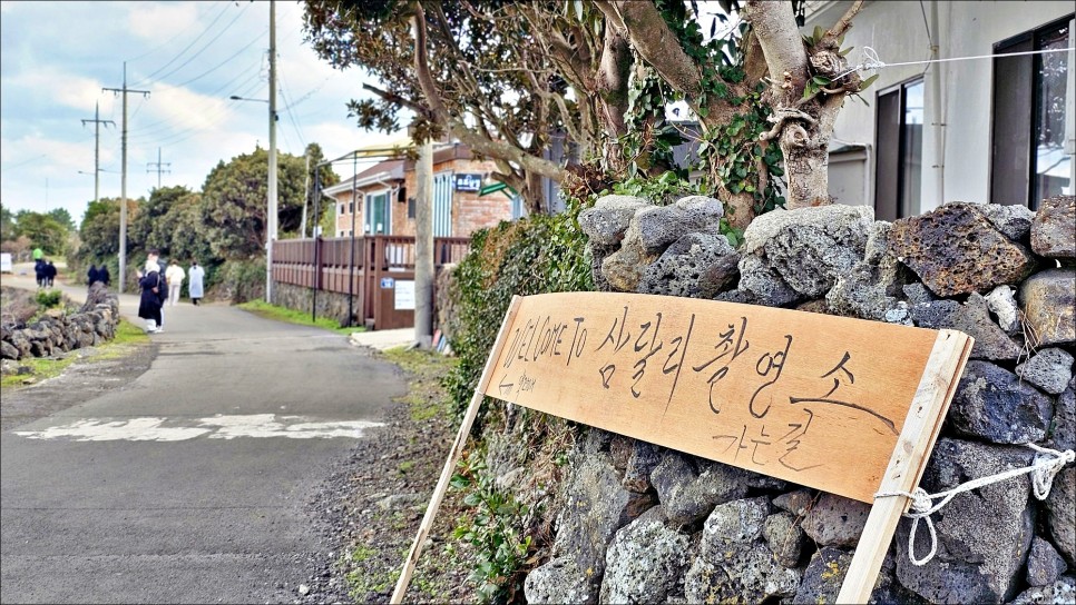 2월 제주 가볼만한곳 성산일출봉이 보이는 삼달리 촬영지 제주 핫플 오조포구 유채꽃밭!