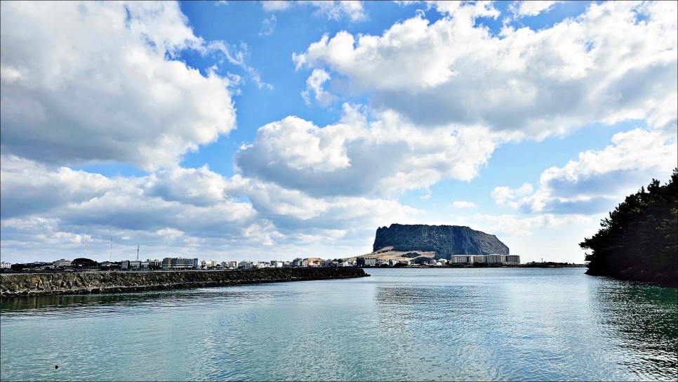 2월 제주 가볼만한곳 성산일출봉이 보이는 삼달리 촬영지 제주 핫플 오조포구 유채꽃밭!