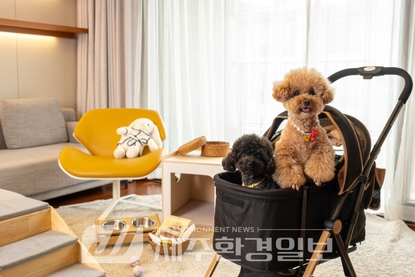 ‘모두에게 열린 여행’ 제주신화월드..시니어, 유아, 반려동물 동반 고객 안성맞춤