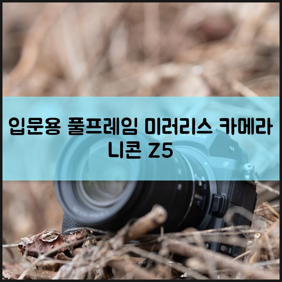 니콘 Z 5 가벼운 입문용 풀프레임 미러리스 카메라 추천 이유 설경 사진 팁도 함께