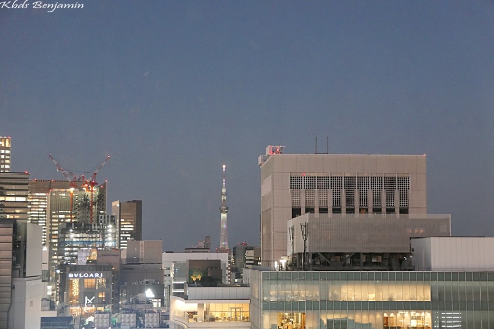 일본 도쿄 여행 쇼핑 리스트 긴자 식스 브랜드 2월 3월 도쿄 날씨