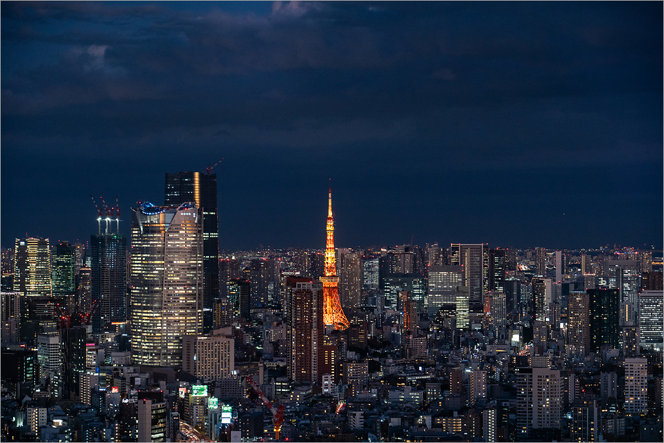 도쿄 시부야스카이 예약 가는법 전망대 일몰시간 야경 후기