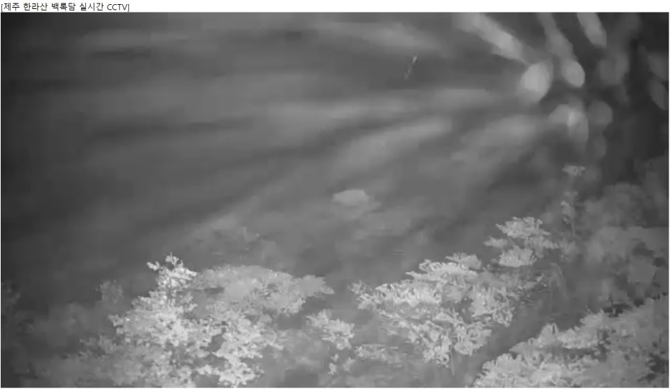 제주도 겨울 한라산 탐방 코스 백록담에서 관음사 코스로 하산하기 한라산 실시간 CCTV