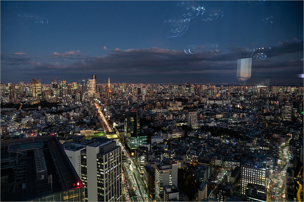 도쿄 시부야스카이 예약 가는법 전망대 일몰시간 야경 후기