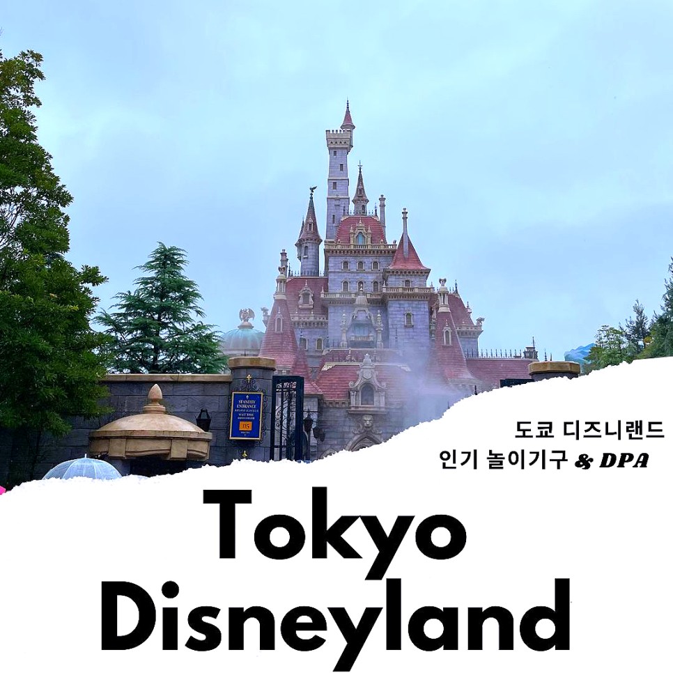 일본 도쿄 자유여행 도쿄 디즈니랜드 티켓 DPA 놀이기구 추천 BEST