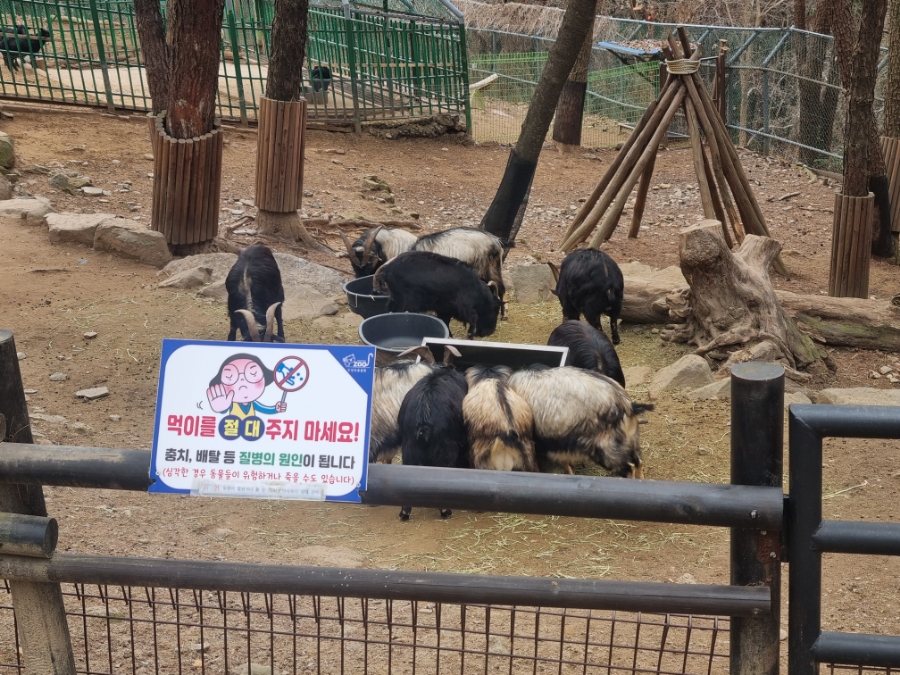 진주 아이와 가볼만한 곳 가성비갑 진양호 동물원