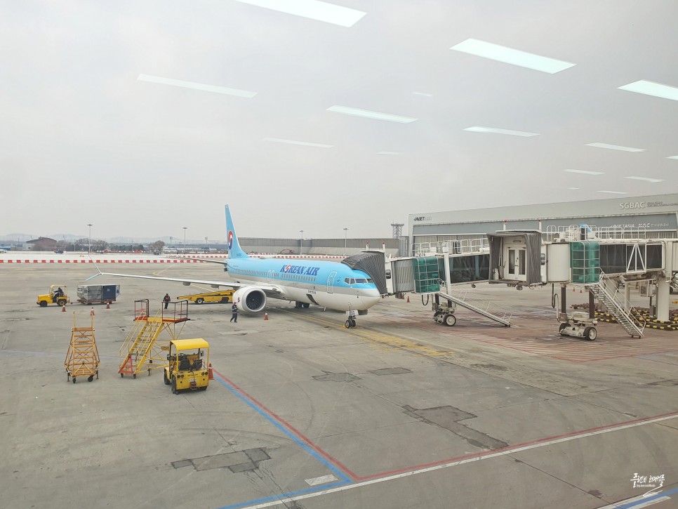 중국 여행 상해 상하이 항공권 김포 홍차오 공항 대한항공 기내식