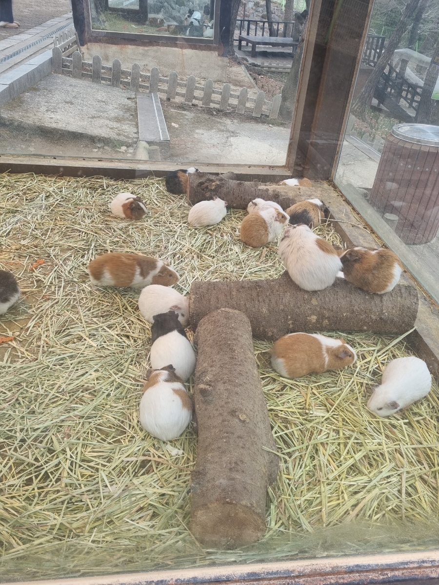 진주 아이와 가볼만한 곳 가성비갑 진양호 동물원