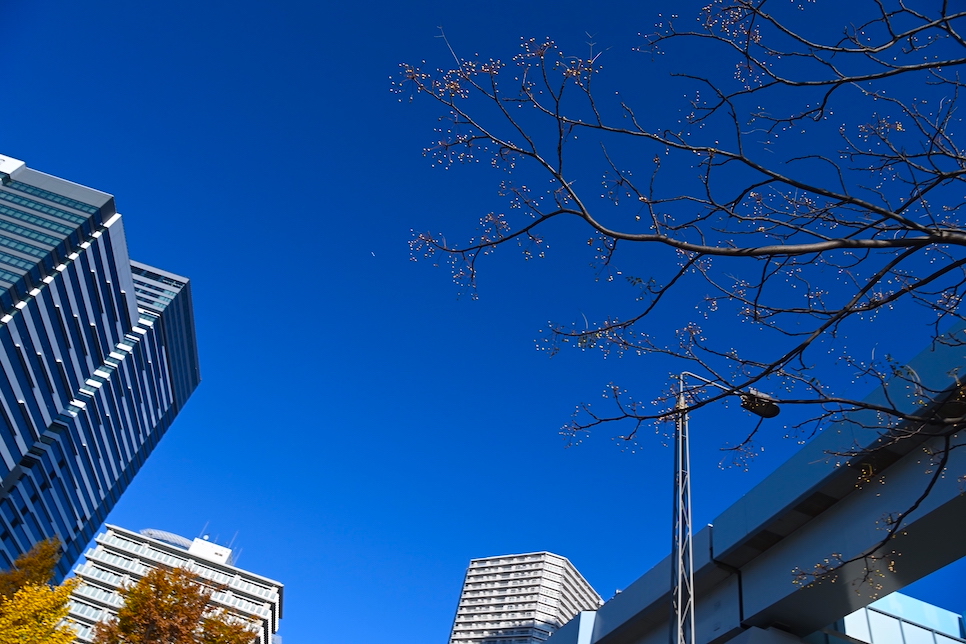 2월 일본 날씨 오사카 도쿄 후쿠오카 오키나와 홋카이도 옷차림은