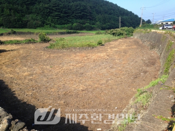 (기고논문) 고양부(高梁夫) 3을나는 어데서 왔을까?-어원분석에 의한 탐라의 새역사