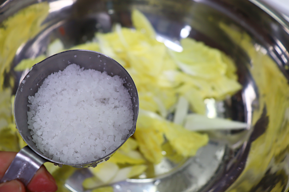알배기 배추 겉절이 만드는 법 알배추요리 겉절이 양념 레시피 배추김치담그는법