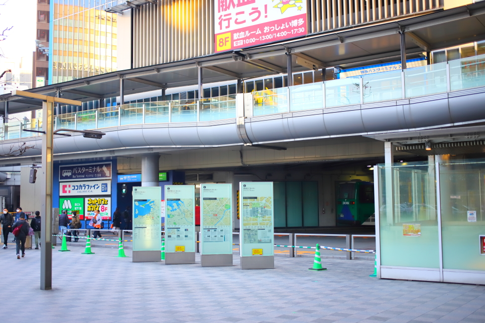 일본 후쿠오카 여행 근교 다자이후 가는법 텐만구 매화 개화시기