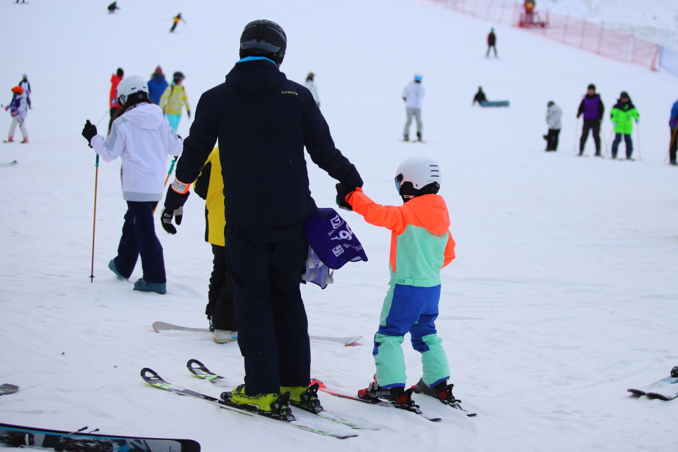 웰리힐리파크 어린이 스키강습 요금 레슨 정보