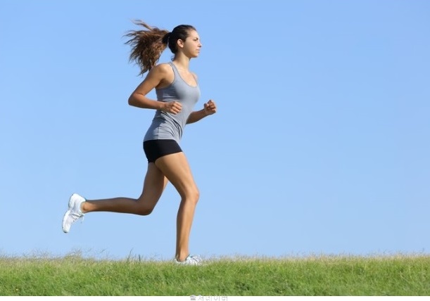 체지방 빼는 운동 빼는법 체지방계산 달리기 고강도 인터벌 트레이닝 종류 타바타 효과