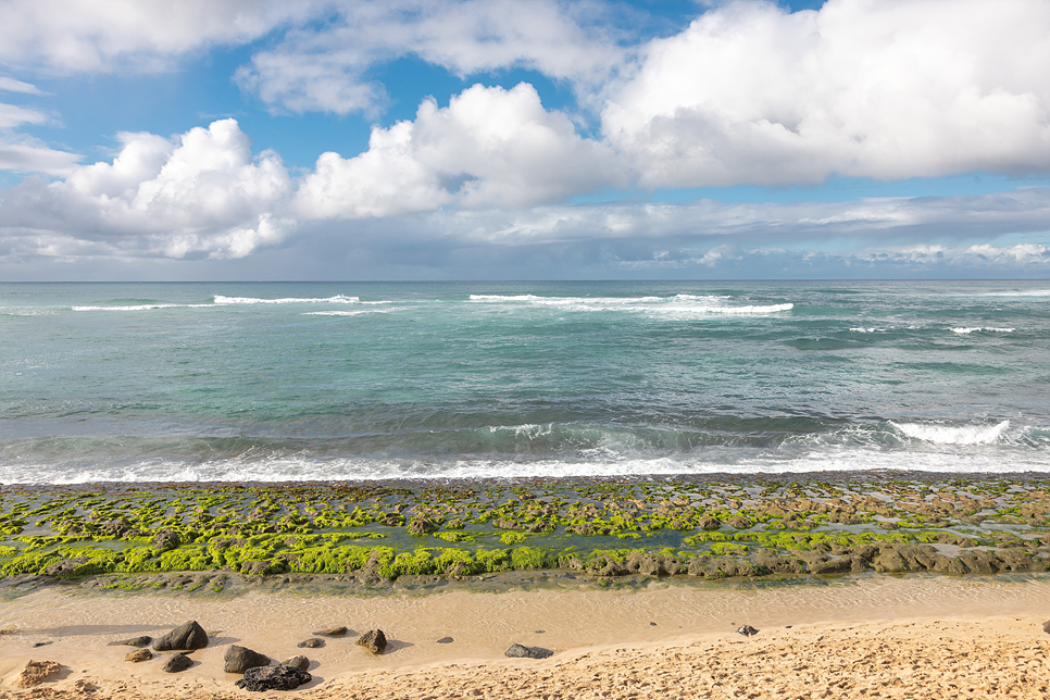 오아후섬 하와이 해변 근처 리젠시 센트릭 와이키키 비치 하와이 여행코스