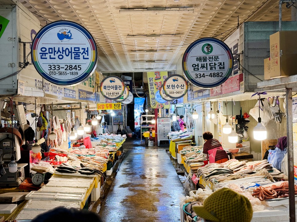 영천공설시장 어물전 <고경수산> 괴상어 구매 + 돔배기 가격 + 신녕분식 족발 순대