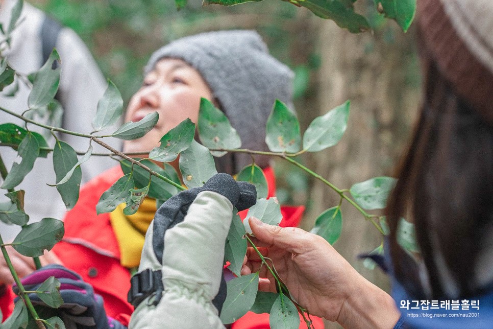 후쿠오카 근교 당일치기여행 난조인 사사구리숲 삼림테라피